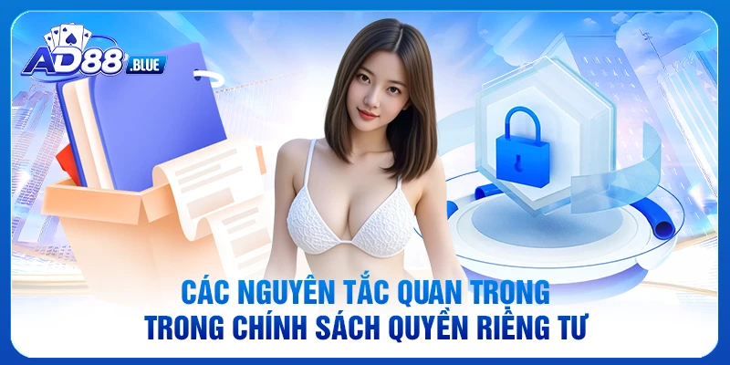 Các nguyên tắc quan trọng trong chính sách quyền riêng tư