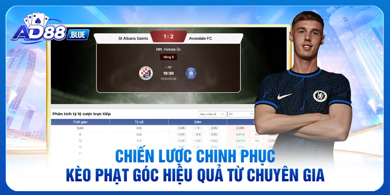 Chiến lược chinh phục kèo phạt góc hiệu quả từ chuyên gia